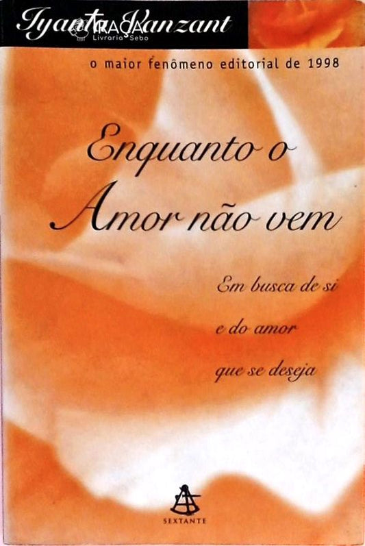 Enquanto o Amor Não Vem