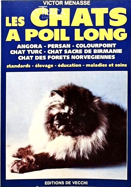 Les Chats A Poil Long