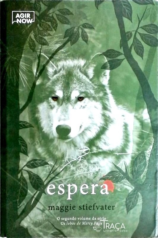Espera - os Lobos de Mercy Falls