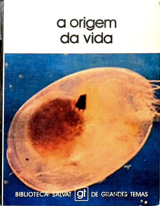 A Origem da Vida