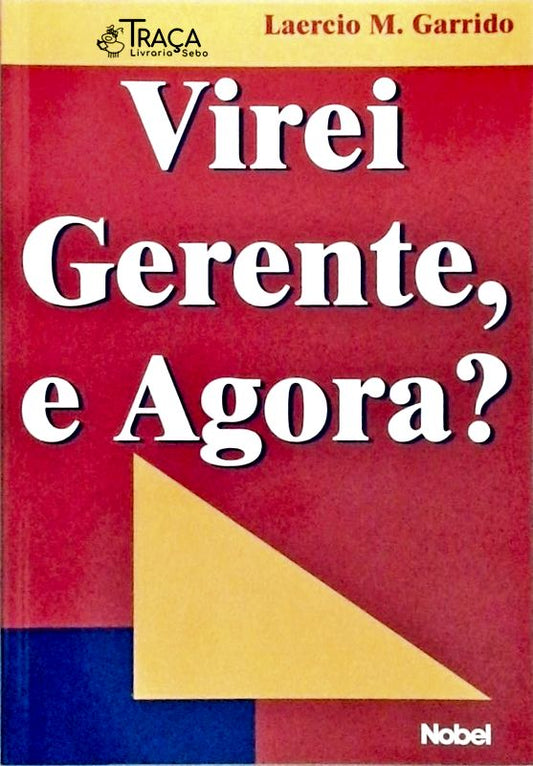 Virei Gerente, e Agora?