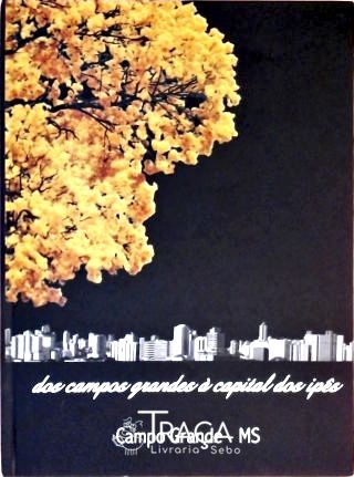 Dos Campos Grandes À Capital dos Ipês