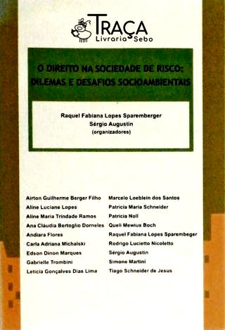 O Direito Na Sociedade de Risco