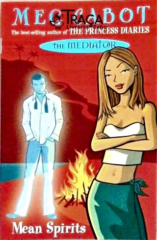 The Mediator - Mean Spirits