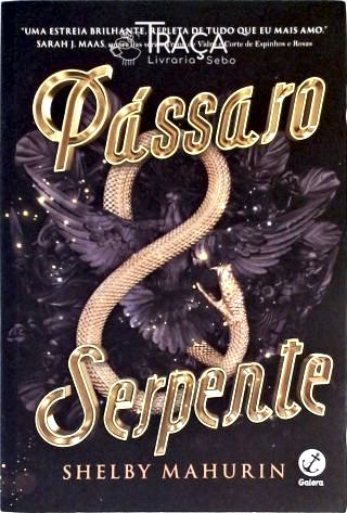 Pássaro e Serpente
