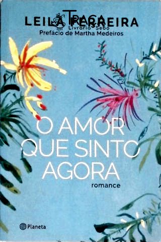 O Amor Que Sinto Agora