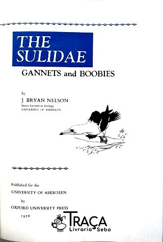 The Sulidae - Gannets And Boobies