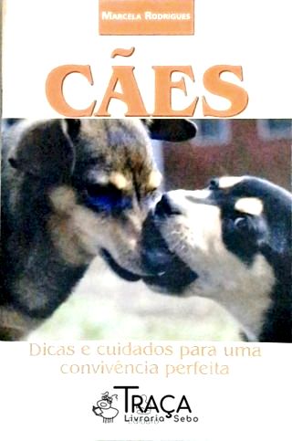 Cães: Dicas E Cuidados Para Uma Convivência Perfeita