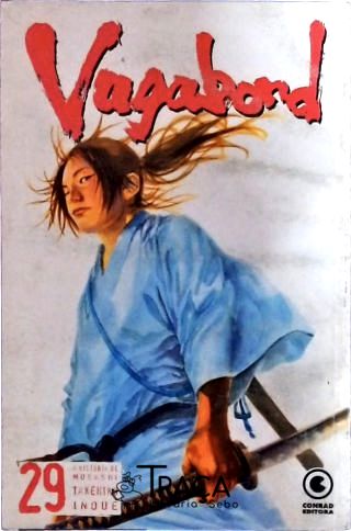 Vagabond Vol 29