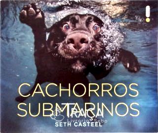 Cachorros Submarinos