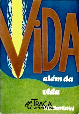 Vida Além da Vida