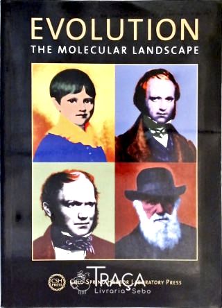 Evolution - The Molecular Landscape