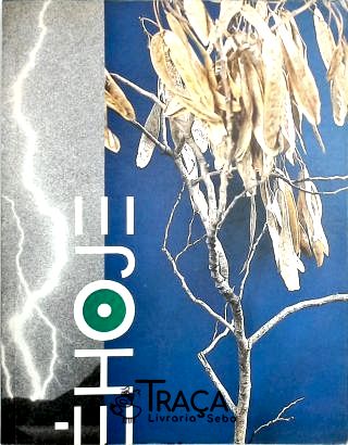 Mostra Cultural É Hoje