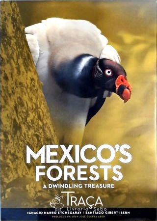 Mexico S Forests