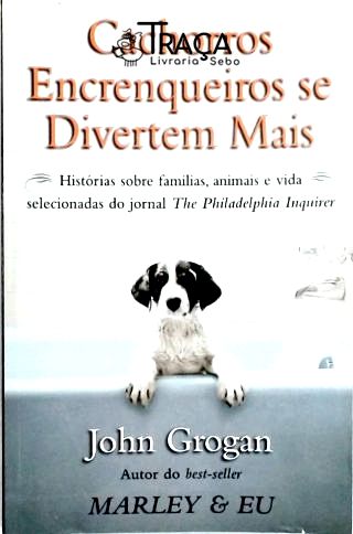 Cachorros Encrenqueiros Se Divertem Mais