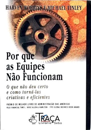 Por Que as Equipes Não Funcionam