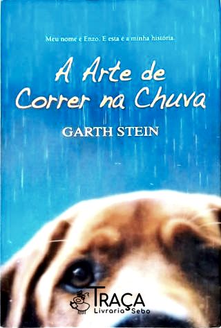 A Arte De Correr Na Chuva