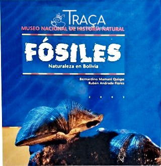 Fósiles - Naturaleza En Bolivia