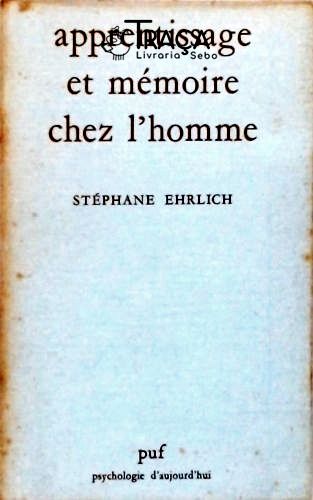 Apprentissage Et Mémoire Chez L Homme
