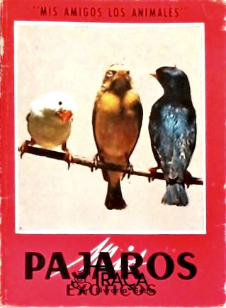 Mis Pajaros Exoticos
