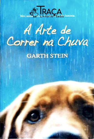 A Arte De Correr Na Chuva