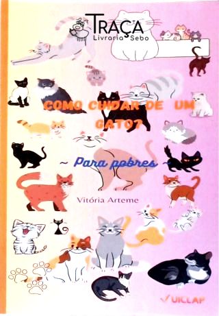 Como Cuidar de um Gato?