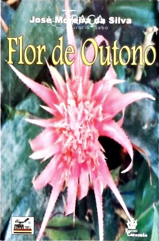 Flor De Outono