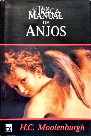 Um Manual de Anjos