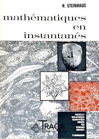 Mathématique En Instantanés