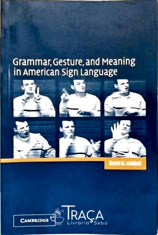 Grammar, Gesture And Meaning In American Sign Lang