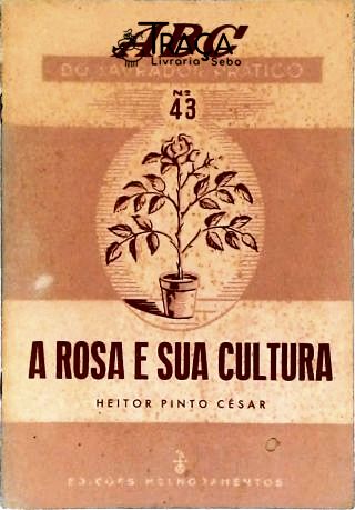A Rosa e Sua Cultura