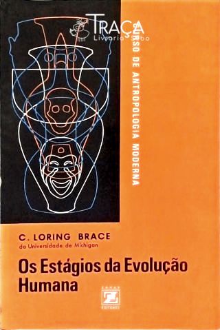 Os Estágios da Evolução Humana