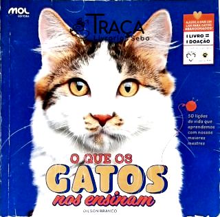 O Que os Gatos Nos Ensinam