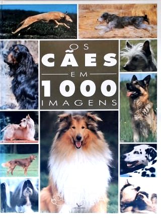 Os Cães em 1000 Imagens