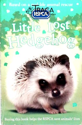Little Lost Hedgehog