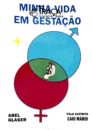 Minha Vida Em Gestação