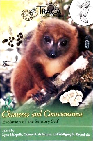 Chimeras and Consciousness