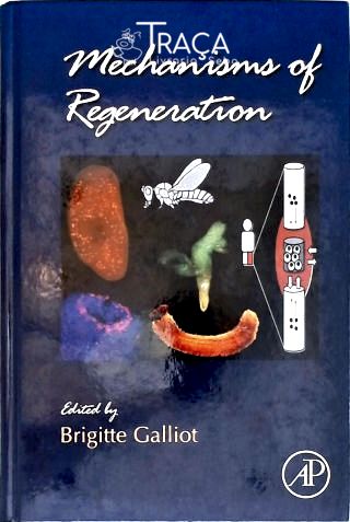 Mechanisms Of Regeneration