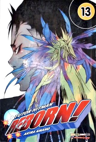 Reborn! Vol. 13