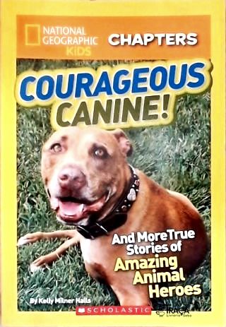 Courageous Canine!