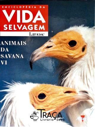 Animais da Savana - Vol. 6
