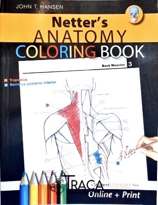Netters Anatomy Coloring Book