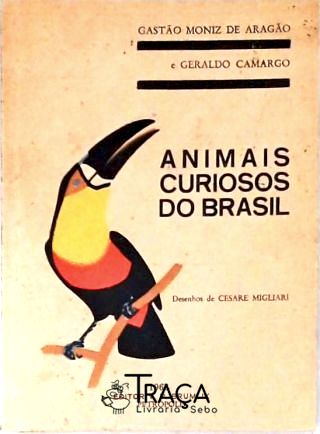 Animais Curiosos Brasileiros