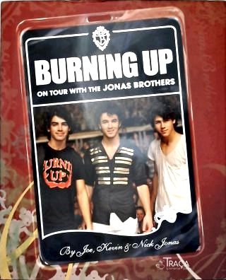Burning Up On Tour With The Jonas Brothers