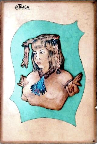 Arte Plumária dos Índios Kaapor