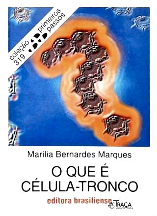 O Que É Célula-tronco