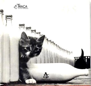 Gatinhos: Uma Celebração Fotográfica