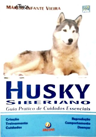 Husky Siberiano