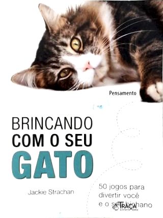 Brincando Com o Seu Gato