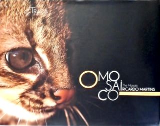 O Mosaico - The Mosaic